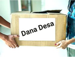 Anggaran Pelatihan Hukum Rp6 Juta per Desa di Mesuji Disorot, Desa hingga PMD Bungkam