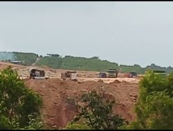 Puluhan Hektar Hutan Nongsa Terancam Gundul Akibat Cut and Fill Ilegal   