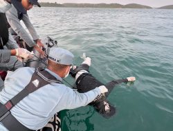 HEBOH : Mayat Pria Ditemukan Terapung Di Perairan Piayu