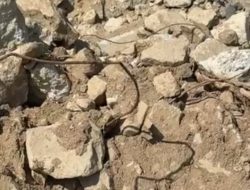 Material Reklamasi PT KMS di Duga Mengandung Limbah B3 Dari Singapura