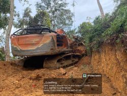 Diduga Ada Pembiaran, Sekjen SIP Soroti Perambahan Hutan di Labura