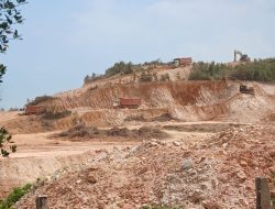 PENIMBUNAN LAHAN DAN PENGHANCURAN BAKAU DI HUTAN LINDUNG PANARAN, KASUS ILEGAL YANG MEMICU KEMARAHAN
