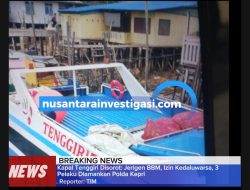 Kapal Tenggiri Menjadi Sorotan: Jerigen BBM Subsidi, Izin Kedaluwarsa, 3 Pelaku Diamankan Polda Kepri