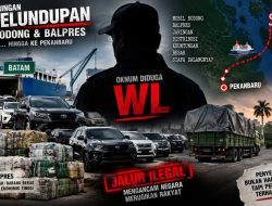Jejak WL di Balik Dugaan Jalur Mobil dan Balpres Batam-Riau, Sekadar Nama atau Pemain Kunci?